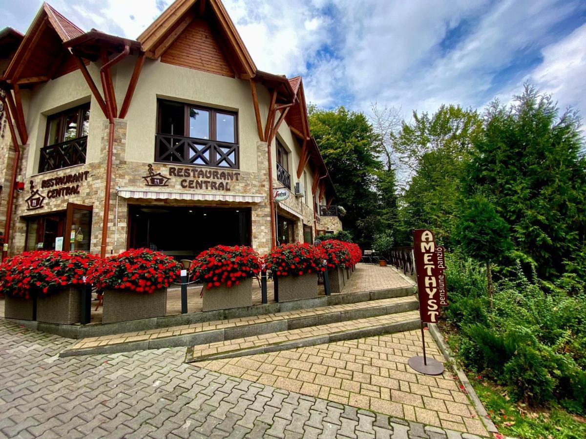 Amethyst Bed & Breakfast Sovata Eksteriør bilde