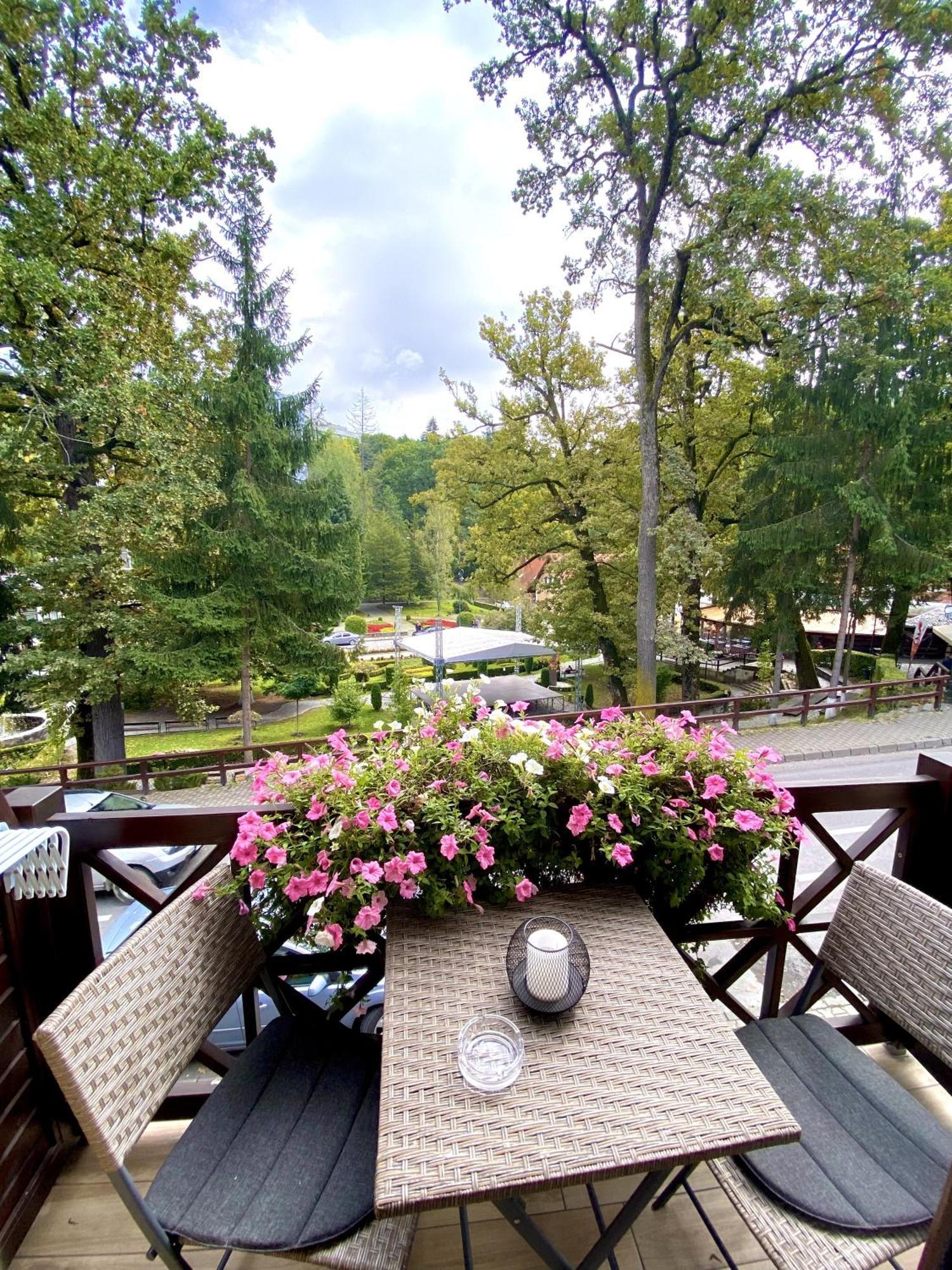 Amethyst Bed & Breakfast Sovata Eksteriør bilde